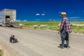 July 17, 2016 - Sheep herder unloads sheep on Hastings Mesa near Ridgway, Colorado from truck