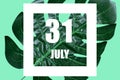 july 31st. Day 31of month,Date text in white frame against tropical monstera leaf on green background summer month, day