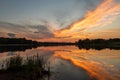 The July sunset over Busse Woods Elk Grove Village Illinois Royalty Free Stock Photo