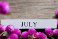 July text on white wood block and globe amaranth or gomphrena globosa flowers on old wooden background. Royalty Free Stock Photo
