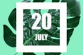 july 20th. Day 20 of month,Date text in white frame against tropical monstera leaf on green background summer month, day