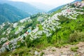 July 19th 2022 Himachal Pradesh India. Farmers in Himachal using anti-hail nets to protect apple groves or an orchard. Step hill