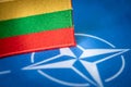 July 11 and 12, Vilnius, Lithuania, NATO Summit Flag of Lithuania and the North Atlantic Alliance
