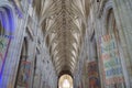 Inside Winchester Cathedral vaulting Royalty Free Stock Photo