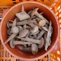 Jumble of old rusty nails and hand tools in a orange plastic box.