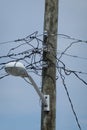 Jumble of wires connecting to the top of a wooden telephone utility pole with a street light attached to it