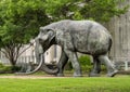 `Jumbo` by artist Tom Tischler, a life-size mammoth sculpture on the grounds at Fair Park in Dallas, Texas.