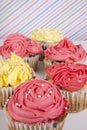 Jumbo blueberry cupcakes with piped colored buttercream Royalty Free Stock Photo