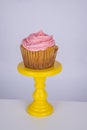 Jumbo blueberry cupcakes with piped colored buttercream Royalty Free Stock Photo