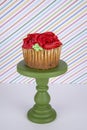 Jumbo blueberry cupcakes with piped colored buttercream Royalty Free Stock Photo