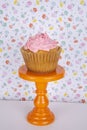 Jumbo blueberry cupcakes with piped colored buttercream Royalty Free Stock Photo