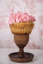 Jumbo blueberry cupcakes with piped colored buttercream Royalty Free Stock Photo