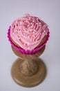 Jumbo blueberry cupcakes with piped colored buttercream