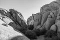 Jumbo rock in Joshua Tree National Park