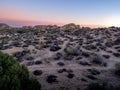 Jumbo Rocks at sunset in Joshua Tree National Park Royalty Free Stock Photo