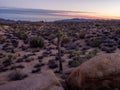 Jumbo Rocks after sunset n Joshua Tree National Park Royalty Free Stock Photo