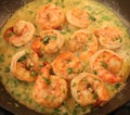 Jumbo shrimp scampi cooking in a pan