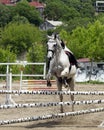 Jump of the horse through the barrier with the rider during the competition