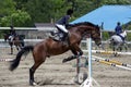 Jump of the horse through the barrier with the rider during the competition