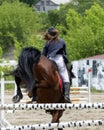 Jump of the horse through the barrier with the rider during the competition