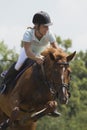 Jump horse - equestrian race