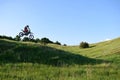 Jump motorcyclist on the race track. Royalty Free Stock Photo