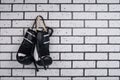 Jump ropes and Boxing gloves, hanging on a hook , against a white brick wall, there is a place for the inscription Royalty Free Stock Photo