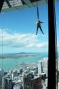 Jump from Sky Tower, Auckland, New Zealand