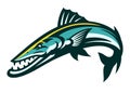 Jumping Barracuda Fish Mascot Cartoon Royalty Free Stock Photo