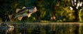 The jumping bass creating splashes in the serene lake environment AI generated image Royalty Free Stock Photo