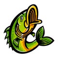 Jumping Bass Fish Royalty Free Stock Photo