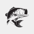 Jumping bass fish vector illustration