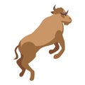 Jumping buffalo icon isometric vector. American bison