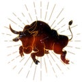 Jumping bull line with space texture