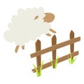 Jumping cartoon sheep over fence, brown wooden fence, green grass, fluffy white cloud sheep asleep. Cute animal jumping