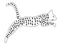 Jumping cat. Spotted cat sketch. Black and white silhouette of jumping cat. Design for children, print, nursery design Royalty Free Stock Photo