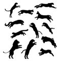 Jumping cats set vector