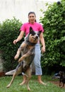 Jumping Cattle Dog With Woman