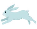 Jumping cute rabbit.