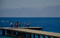 Jumping from the deck Royalty Free Stock Photo