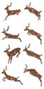 Jumping deer Christmas item set