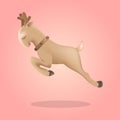 Jumping deer in cute style background, 3D animal. Royalty Free Stock Photo