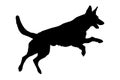 Jumping Defense German shepherd dog silhouette isolated on a white background Royalty Free Stock Photo