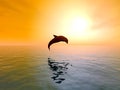 Jumping Dolphin Royalty Free Stock Photo