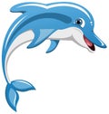 Jumping Dolphin Royalty Free Stock Photo