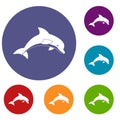 Jumping dolphin icons set