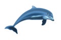 Jumping Dolphin Isolated