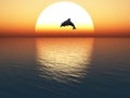 Jumping dolphin