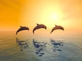 Jumping Dolphins Royalty Free Stock Photo