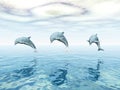 Jumping Dolphins